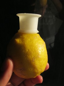 inside a lemon